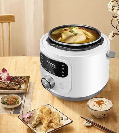 110V Electric Pressure Cooker