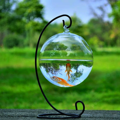 Hanging Glass Vase Fish Tank