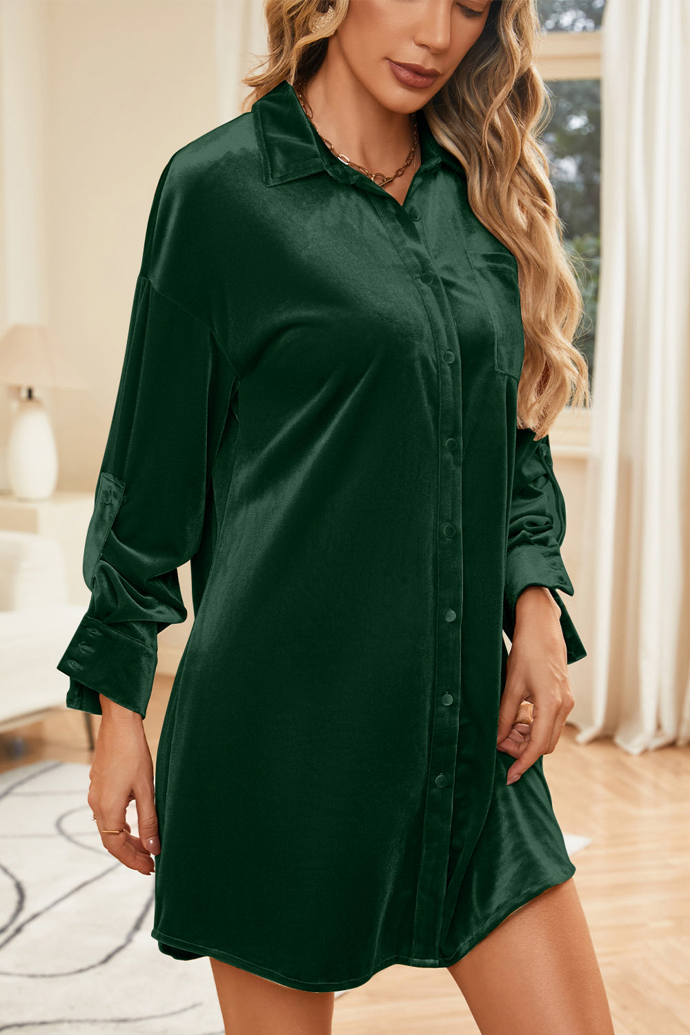 Velvet Collared Neck Long Sleeve Mini Dress