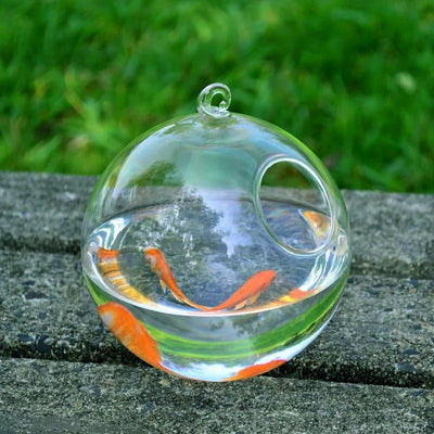 Hanging Glass Vase Fish Tank