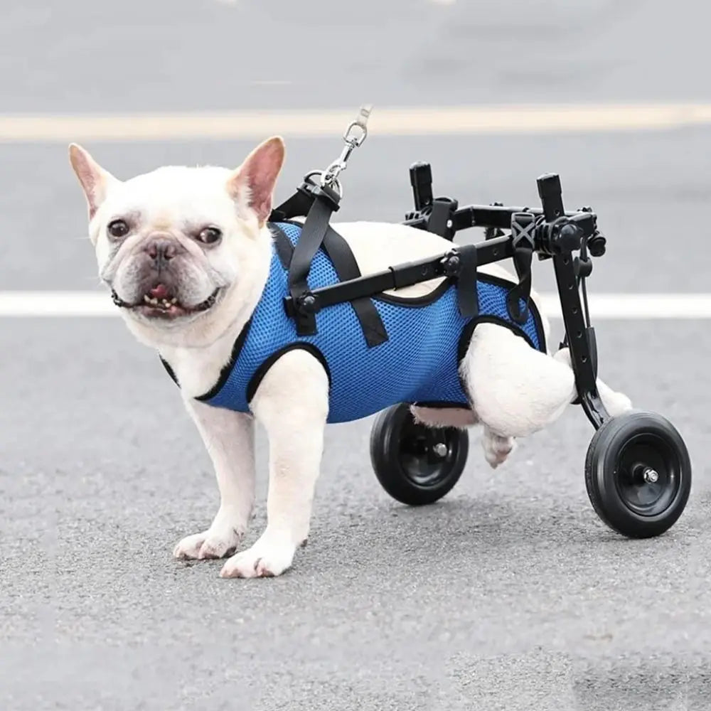 Walking Wheels Pet Walk Booster Light Durable Dog Wheelchair Cart Adjustable Blue Pet Hind Legs Bracket Disability Dog