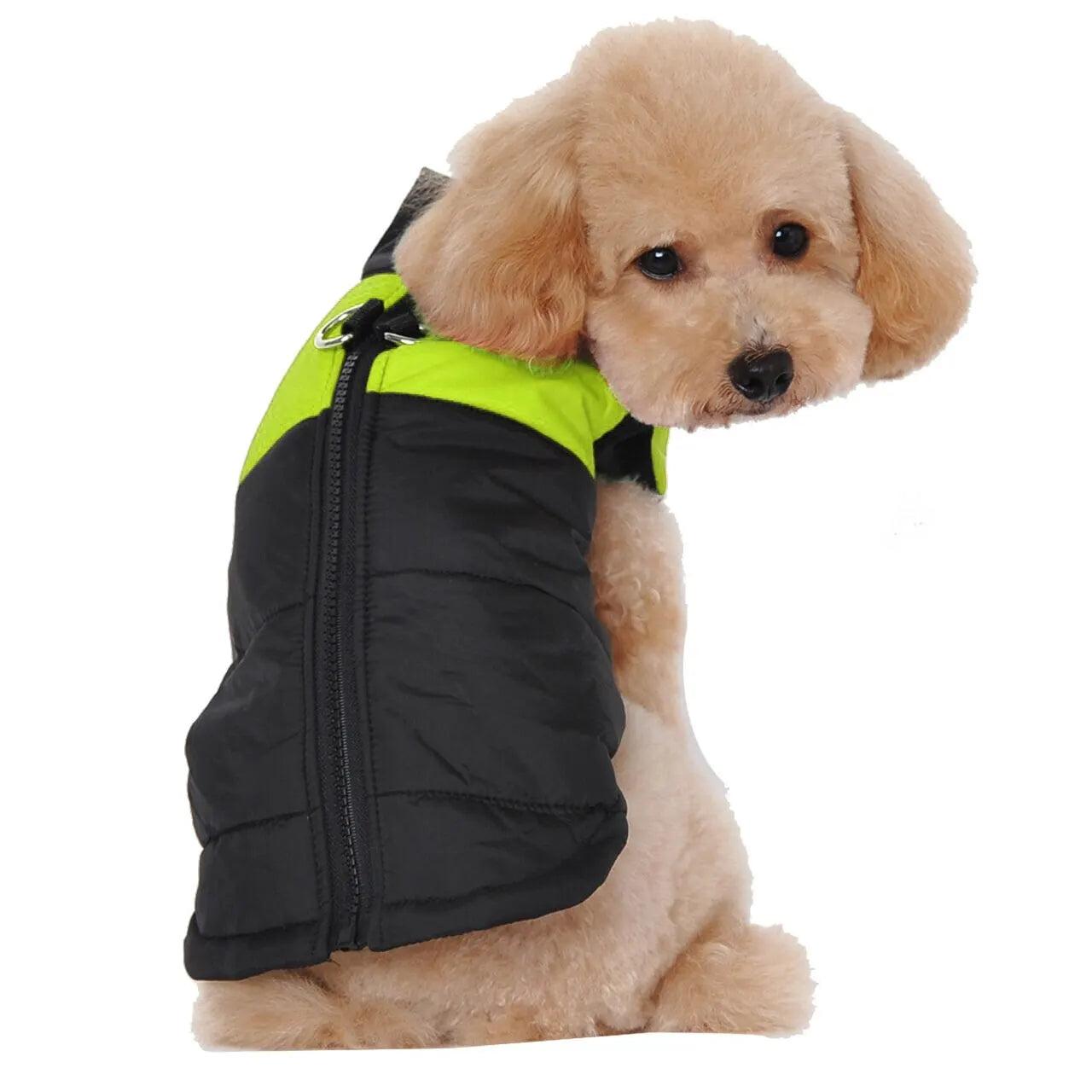 Waterproof Dog Coats Winter Warm Clothes Thick Padded Warm Pet Coats Padded Dog Jackets for Puppy Small Medium Large Dogs