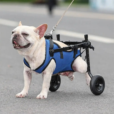 Walking Wheels Pet Walk Booster Light Durable Dog Wheelchair Cart Adjustable Blue Pet Hind Legs Bracket Disability Dog