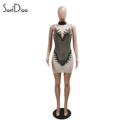 Soefdioo Sequin Embroidery See Through Dress Women Sexy Sleeveless O-Neck Bodycon Mini Dresses 2024 Summer Night Party Clubwear