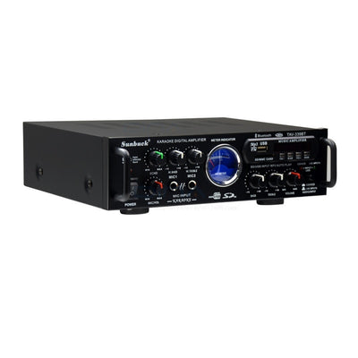 Household Power Amplifier 12 V220V Audio Bluetooth AV